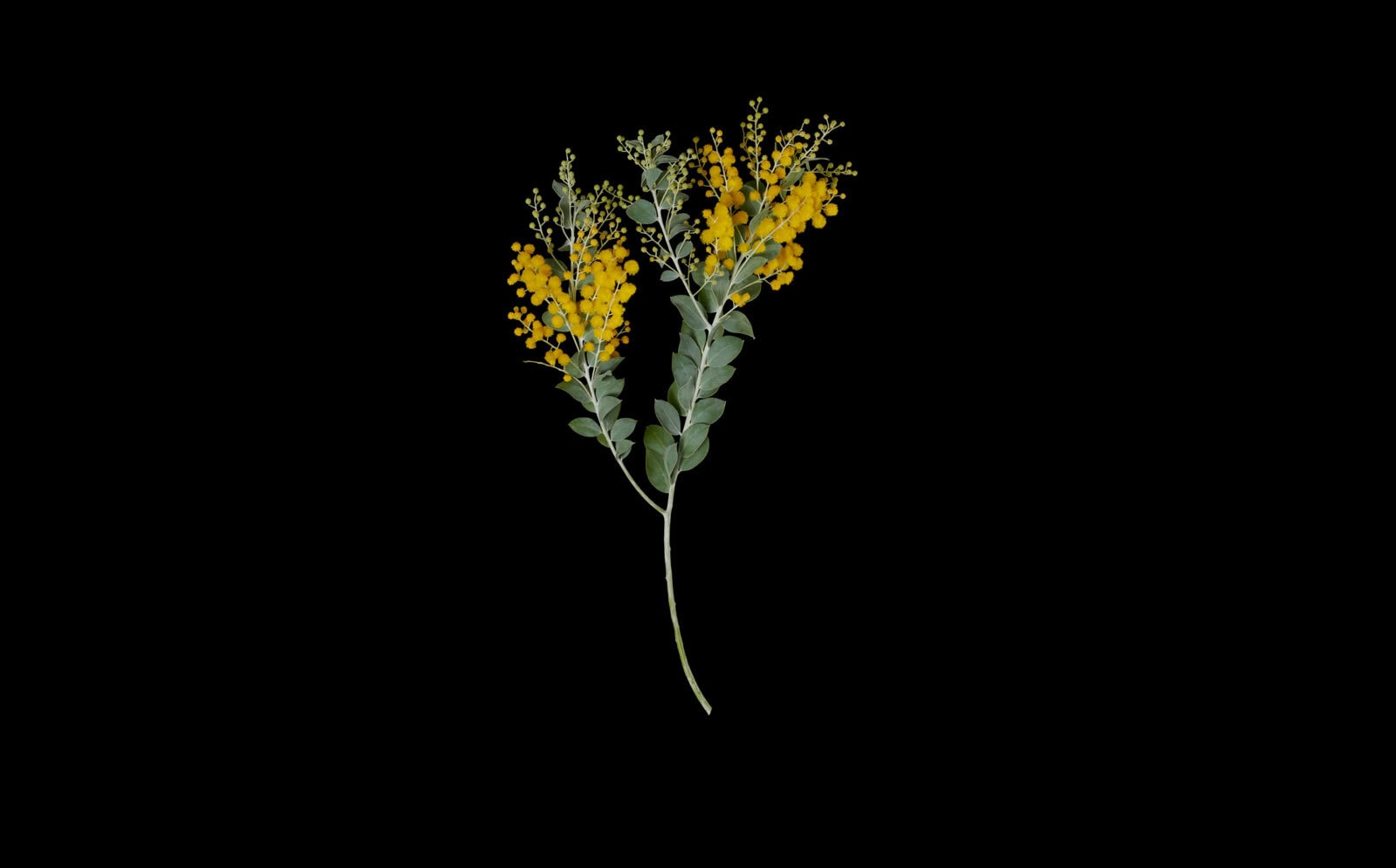 An Embodiment of Landscape and Rich Cultural Heritage